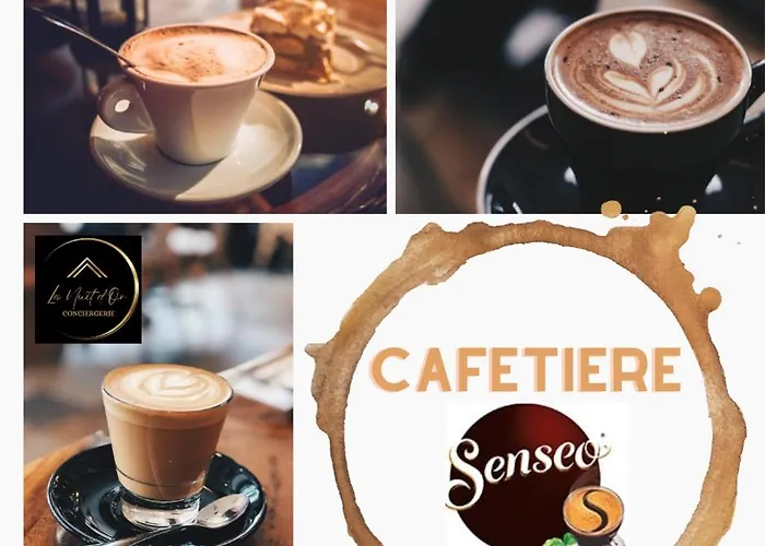 La Casse Doree - Terrasse & Gare A Proximite * 绍莱